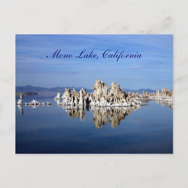 Mono Lake, California Postcard (Front)