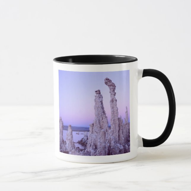 Mono Lake Reserve. California. USA. Tufa Mug (Right)