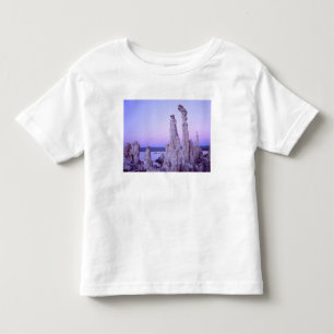 Mono Lake Reserve. California. USA. Tufa Toddler T-Shirt