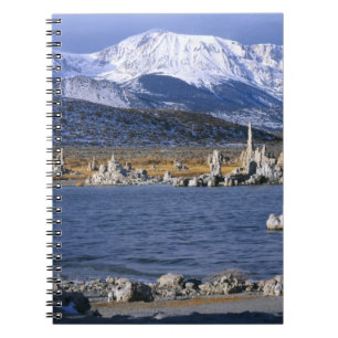 MONO LAKE TUFA STATE NATURAL RESERVE, NOTEBOOK