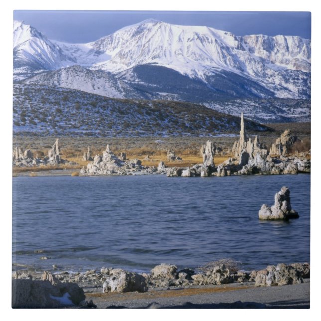 MONO LAKE TUFA STATE NATURAL RESERVE, TILE (Front)
