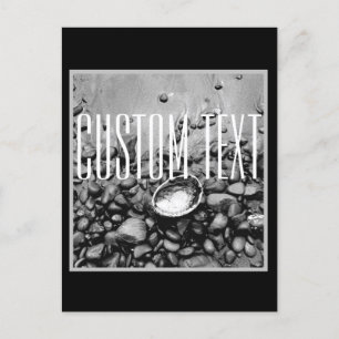 MONOCHROME BEACH PHOTO SHELL STONES SAND CUSTOM  POSTCARD
