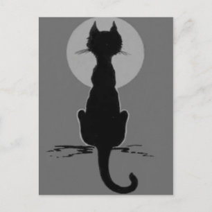 Monochrome Black And White Black Cat Full Moon Postcard