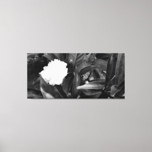 Monochrome Bloom Canvas Print