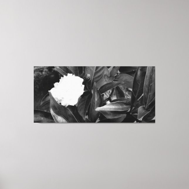  Monochrome Bloom Canvas Print (Front)