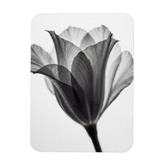 Monochrome botanical fine art photograph magnet