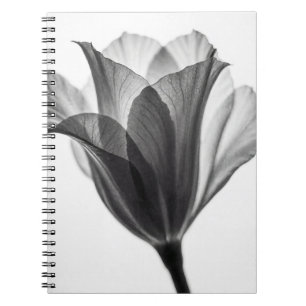 Monochrome botanical fine art photograph notebook