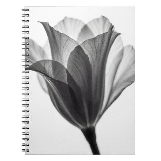 Monochrome botanical fine art photograph notebook
