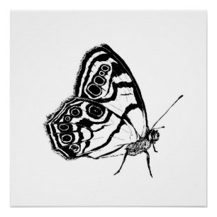 Monochrome Butterfly Poster