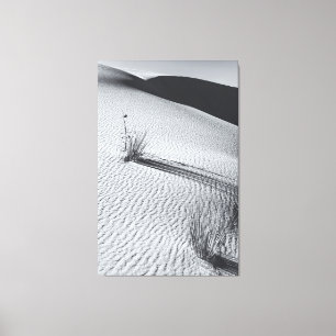 Monochrome Desert Landscape with Grass Tufts Canvas Print