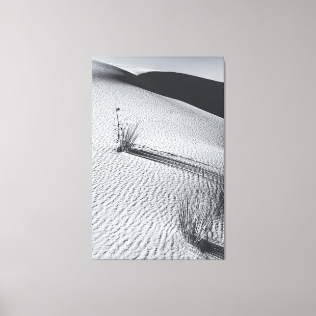 Monochrome Desert Landscape with Grass Tufts Canvas Print (Front)