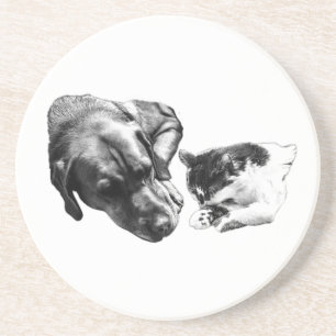 Monochrome Dog & Cat Resting Together Coaster