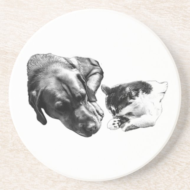 Monochrome Dog & Cat Resting Together Coaster (Front)
