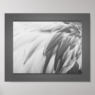 Monochrome Flamingo Feathers Printable Art  Poster