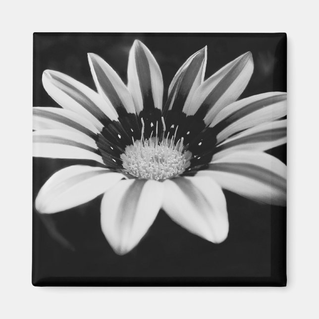 Monochrome Floral Artwork Magnet (Front)