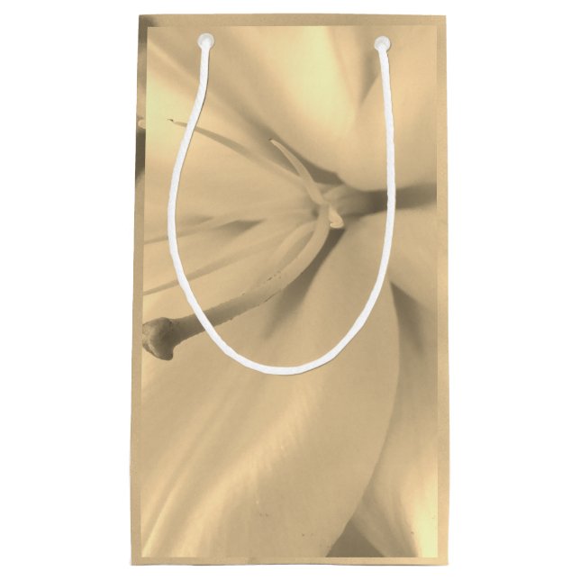 Monochrome  Floral Photo  Gift Bag (Front)