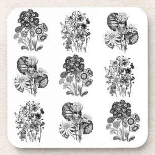Monochrome flowers in black and white coaster