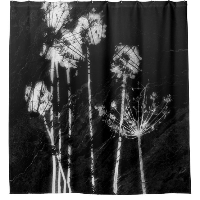 Monochrome High Contrast Dried Wildflowers Graphic Shower Curtain (Front)