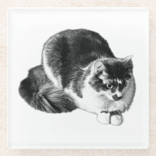 Monochrome Long‑Haired Cat Crouching Coaster