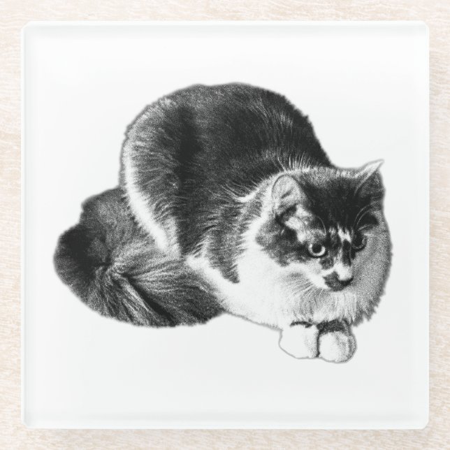 Monochrome Long‑Haired Cat Crouching Coaster (Front)