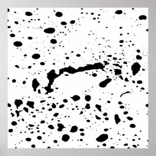 Monochrome Mirage  Poster