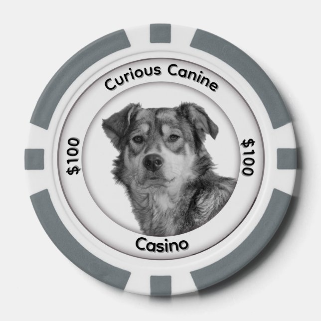 Monochrome Mixed Breed Canine Three Text Areas Poker Chips (Front)