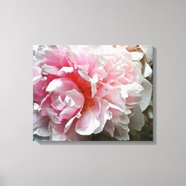 Monochrome Peony Photo Canvas Print (Front)