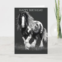 Monochrome Piebald Gypsy Cob Horse Birthday