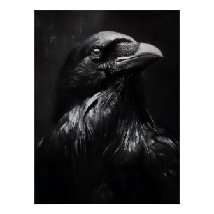 Monochrome Raven Portrait Poster