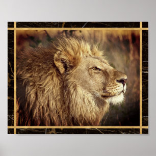 Monochrome Sideway Lion Photo Image Print Poster