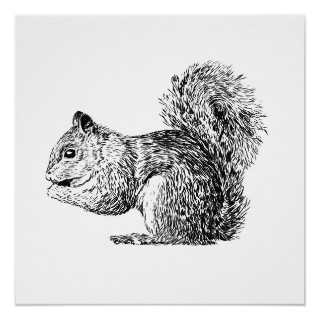 Monochrome Squirrel poster (part of a set) (Front)