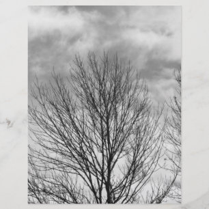 Monochrome Tree Top