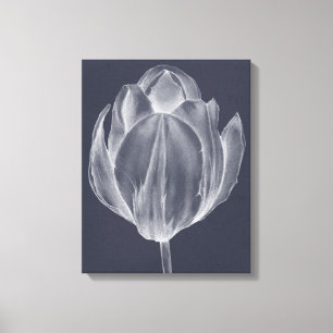Monochrome Tulip I Canvas Print