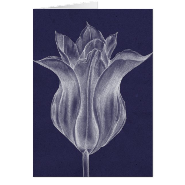 Monochrome Tulip III (Front)