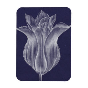 Monochrome Tulip III Magnet