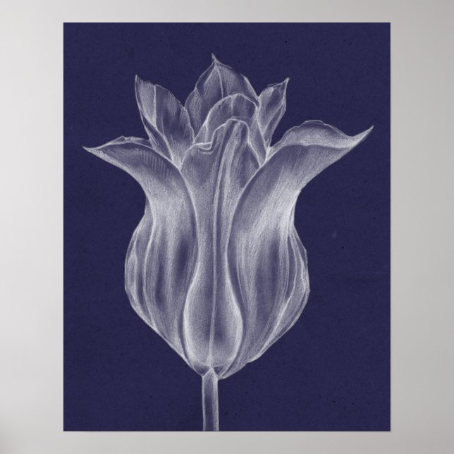 Monochrome Tulip III Poster (Front)