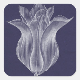 Monochrome Tulip III Square Sticker