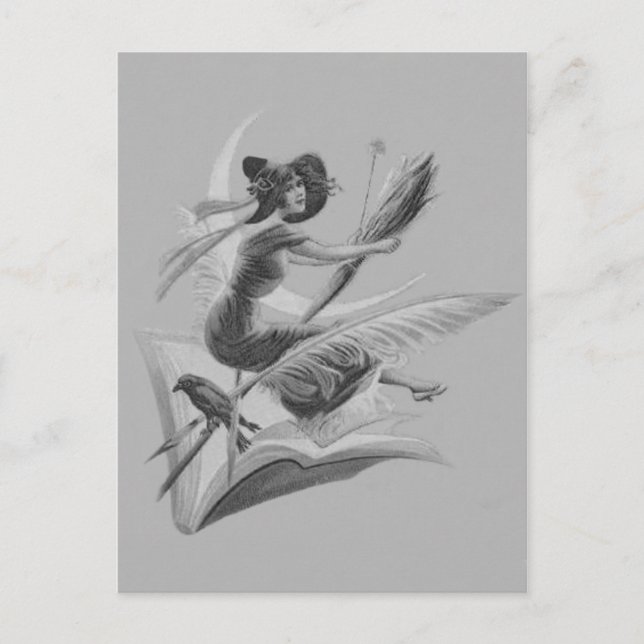 Monochrome Witch Raven Crescent Moon Postcard (Front)