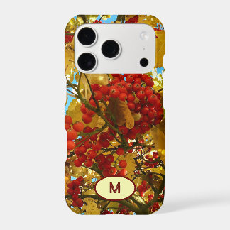 Monogram Autumn RedBerry orange Tree Crown Photo -