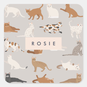 Monogram Charming Cat Pattern Cat Lovers Square Sticker