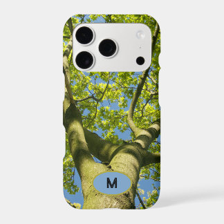 Monogram Green Tree Crown Photo with blue Sky -