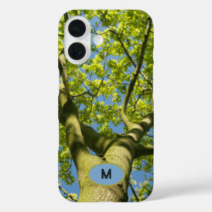 Monogram Green Tree Crown Photo with blue Sky - iPhone 16 Case