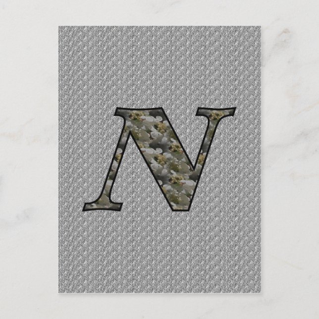 Monogram Initial N Hydrangea Flowers Postcard (Front)