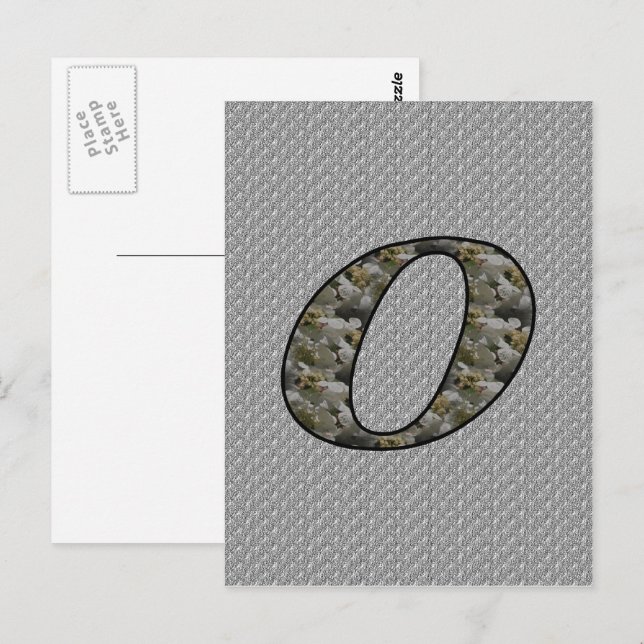 Monogram Initial O Hydrangea Flowers Postcard (Front/Back)