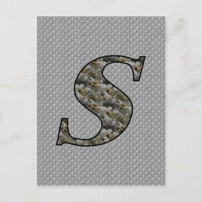 Monogram Initial S Hydrangea Flowers Postcard (Front)