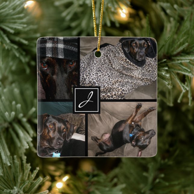 Monogram Photo Pet Black Ceramic Ornament (Tree)