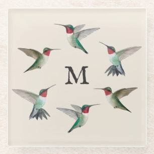 Monogram Ruby-throated Hummingbirds Glass Coaster