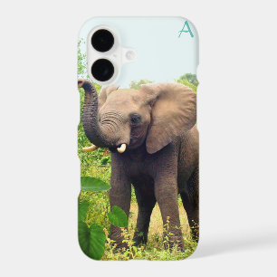 Monogram, wild elephant and tropical plants