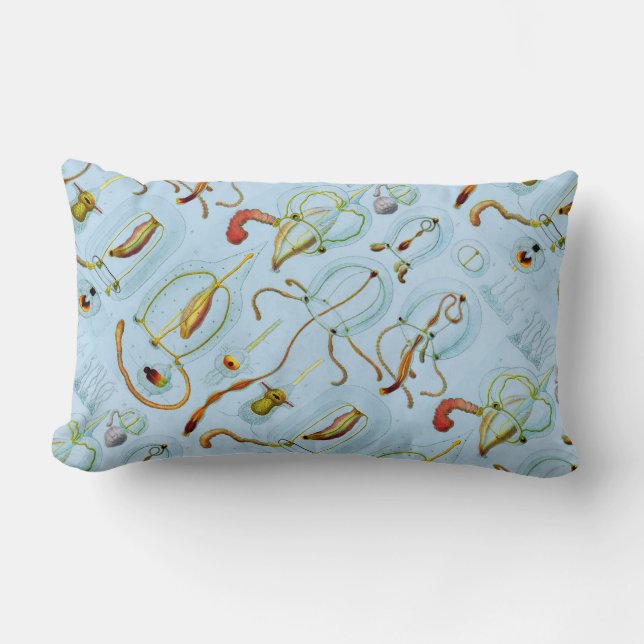 Monographie der Medusen (1879). Ernst Haeckel Lumbar Cushion (Front)