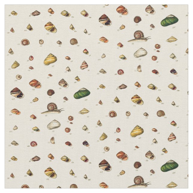 Monographs of Genera of Shells Fabric (Close Up)